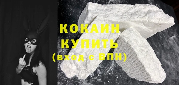шишки Магас