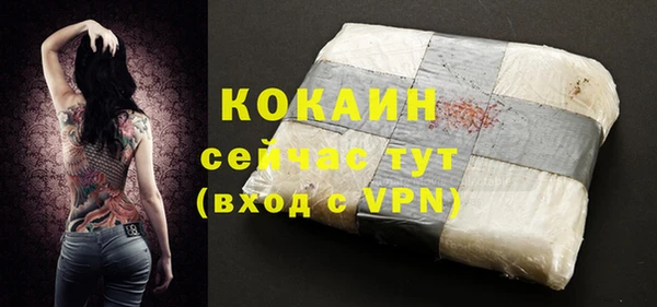 твердый Абаза