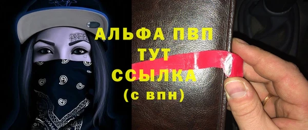 твердый Абаза